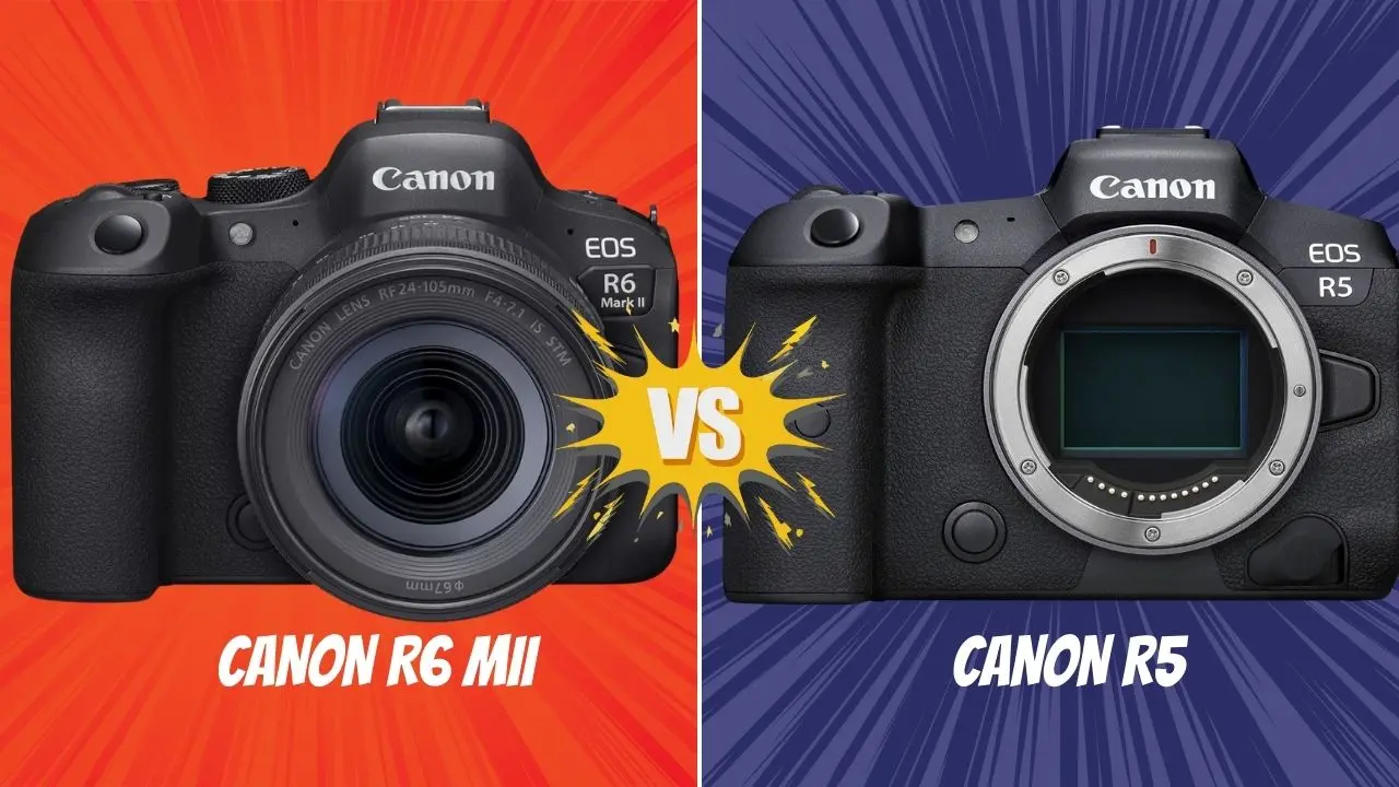 Canon R6 M 2 VS Canon R5