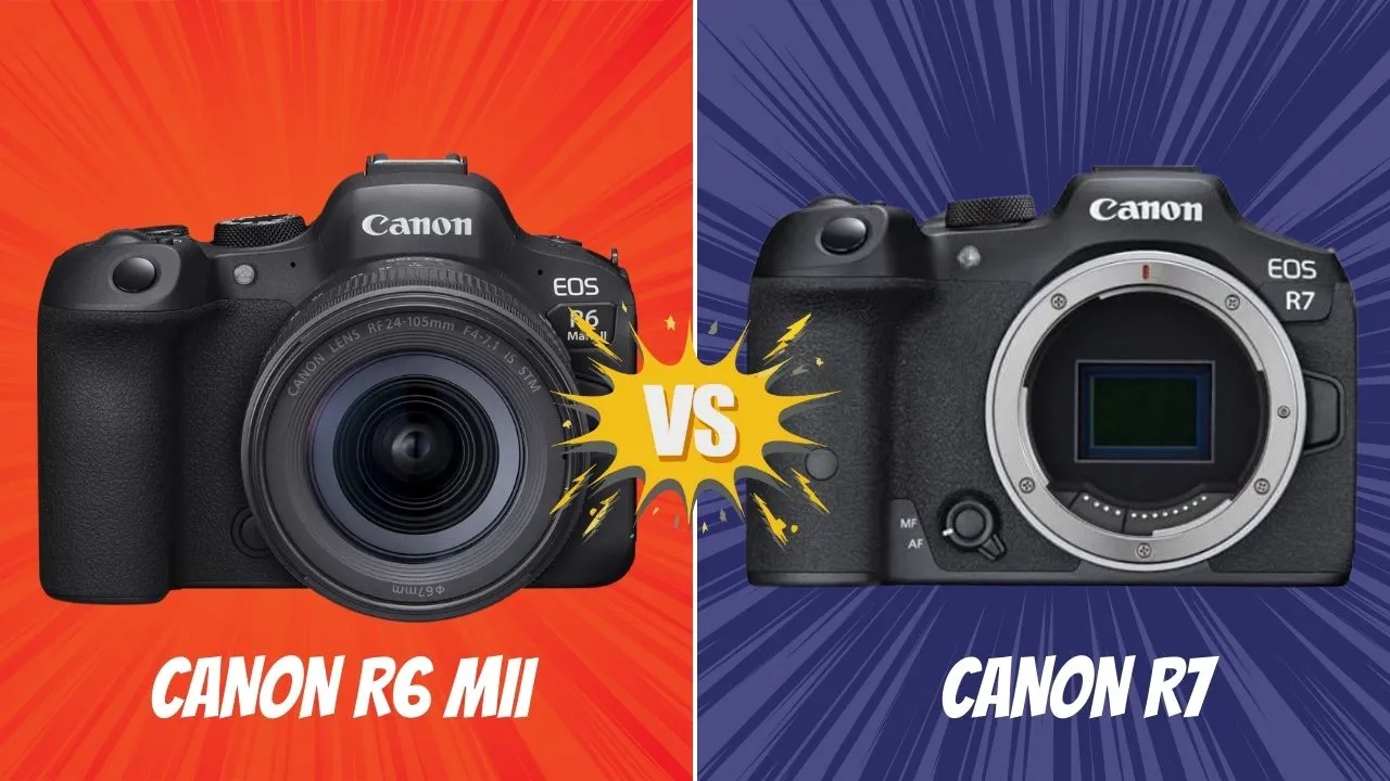 Canon R6 M II VS Canon R7