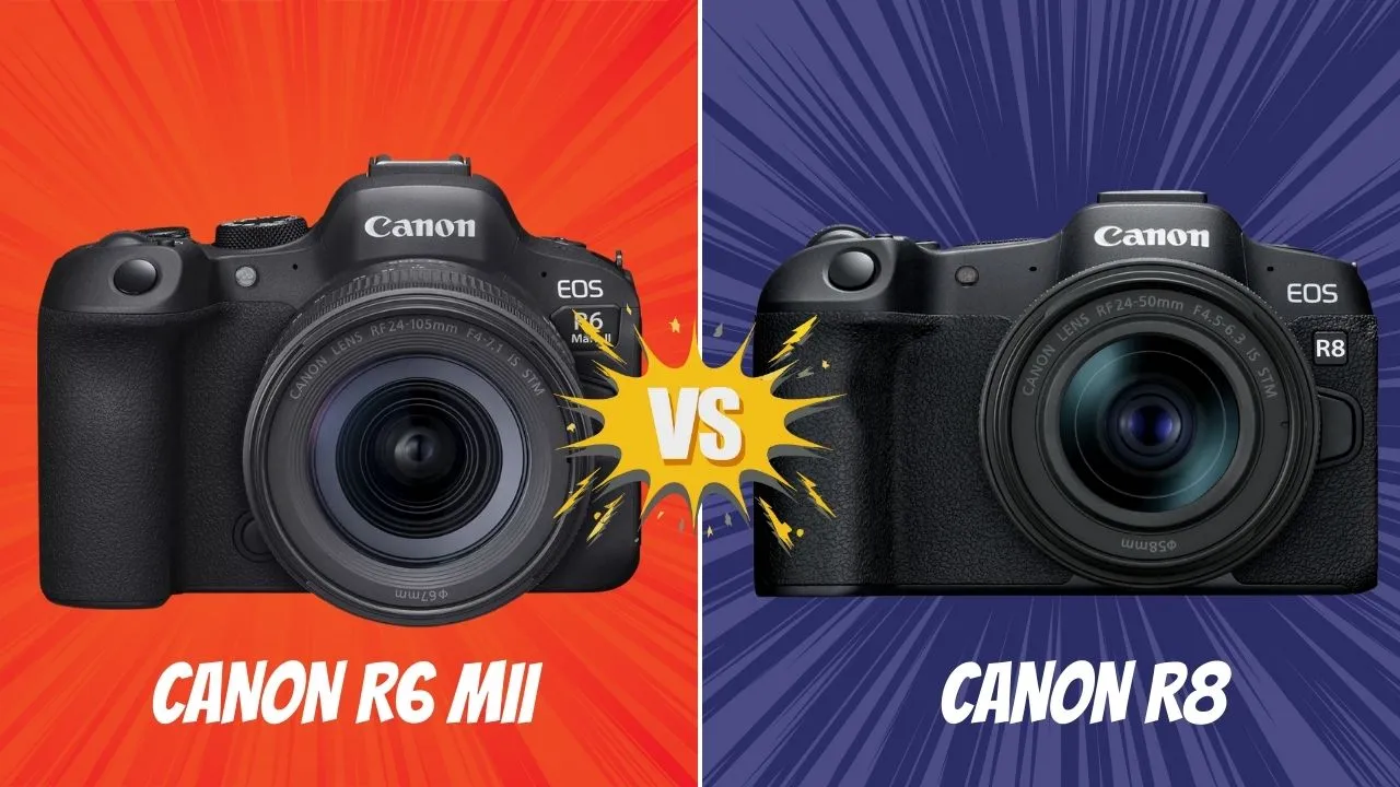Canon R6 M II VS Canon R8