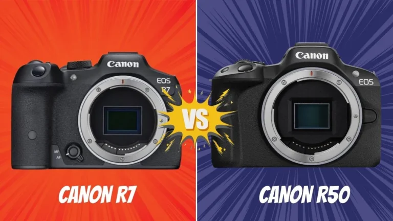 Canon R7 VS Canon R50