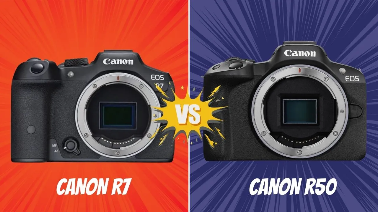 Canon R7 VS Canon R50