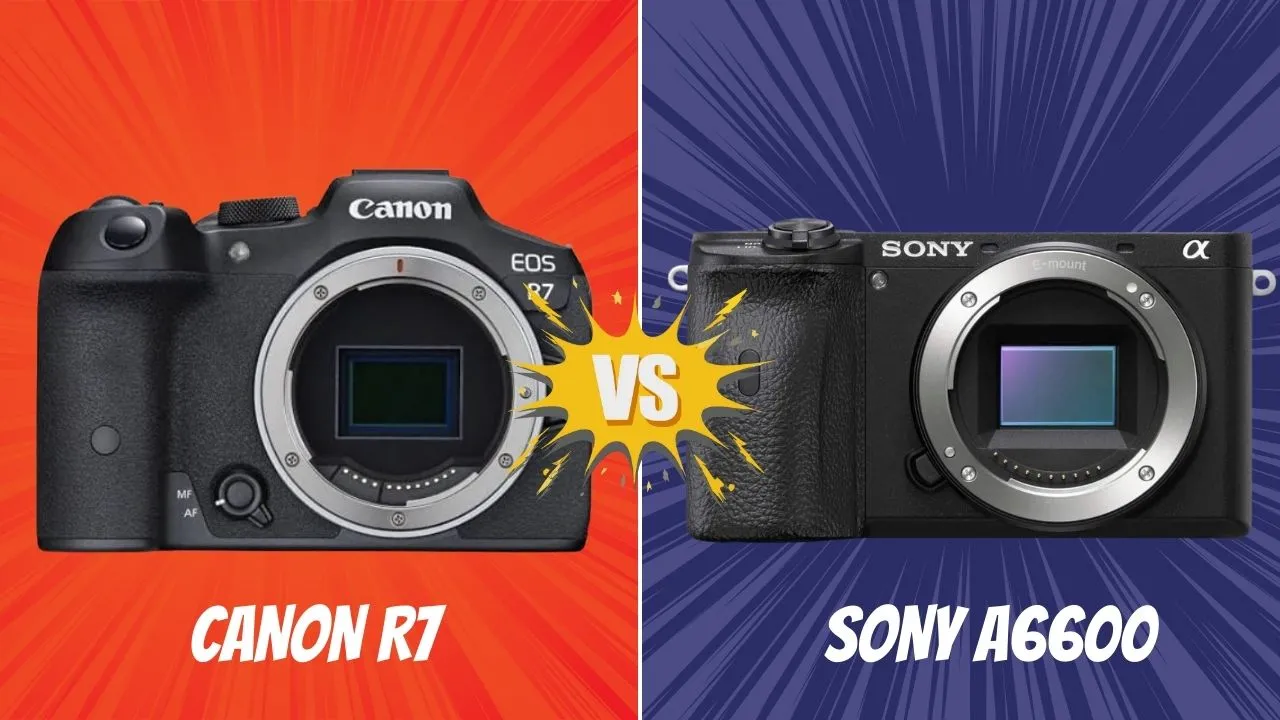 Canon R7 VS Sony A6600