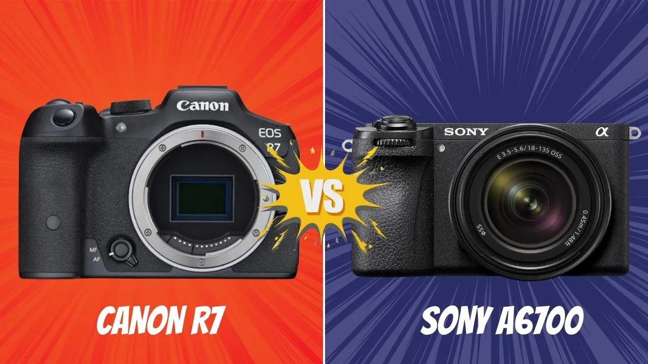 Canon R7 VS Sony A6700