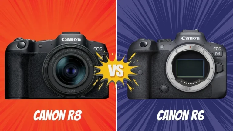 Canon R8 VS Canon R6