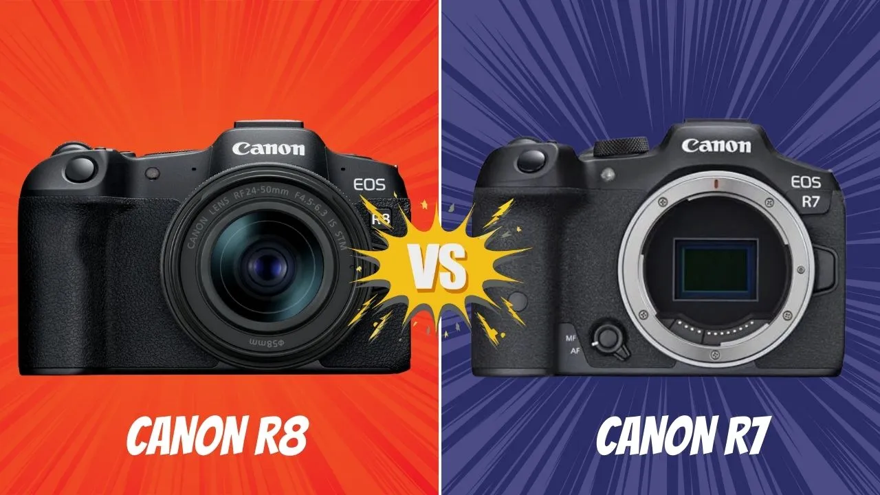 Canon R8 VS Canon R7