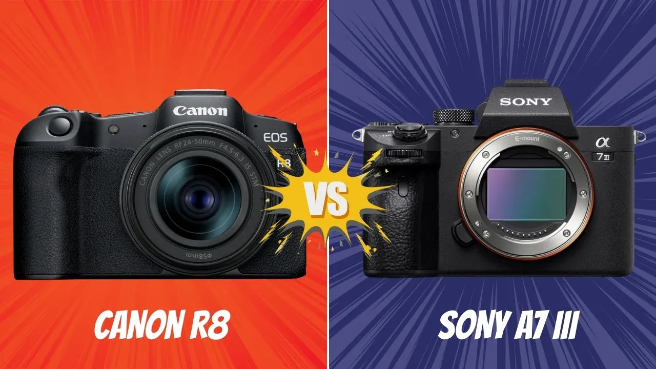 Canon R8 VS Sony A7 III