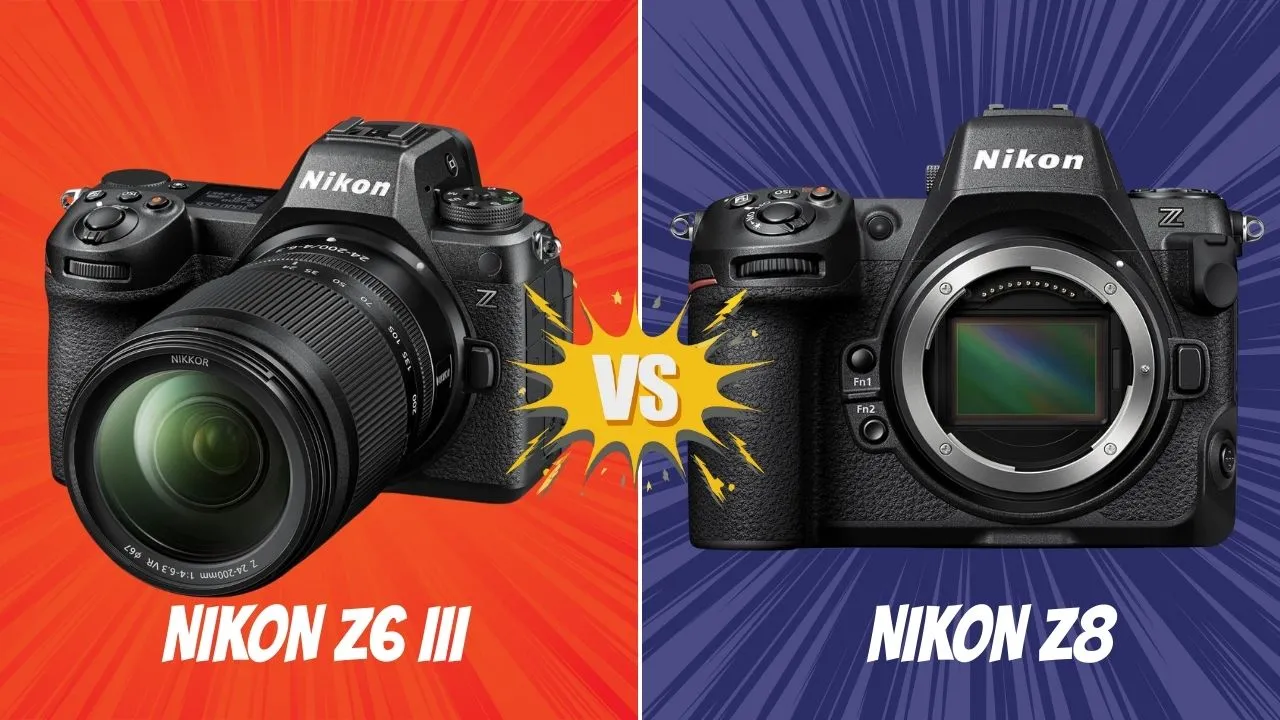 Nikon Z6 III VS Nikon Z8