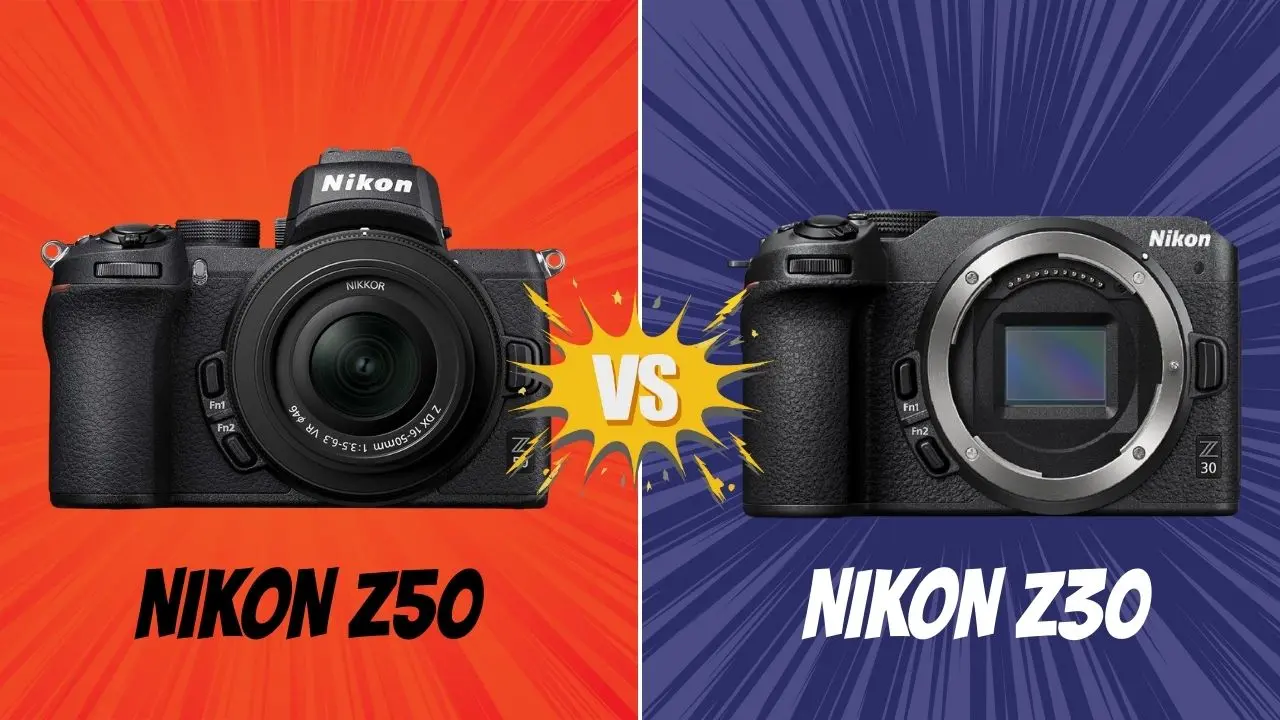 nikon Z50 VS Nikon Z30 photofight