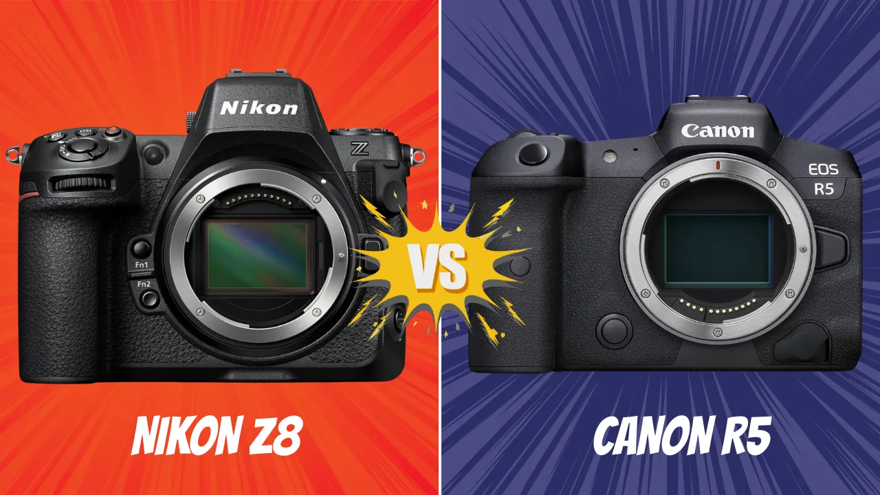 Nikon Z8 VS Canon R5