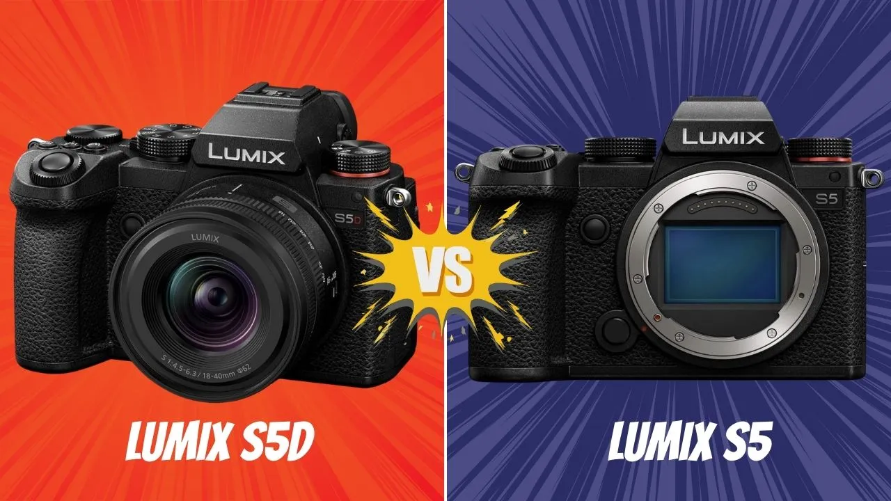Panasonic Lumix S5D VS Lumix S5