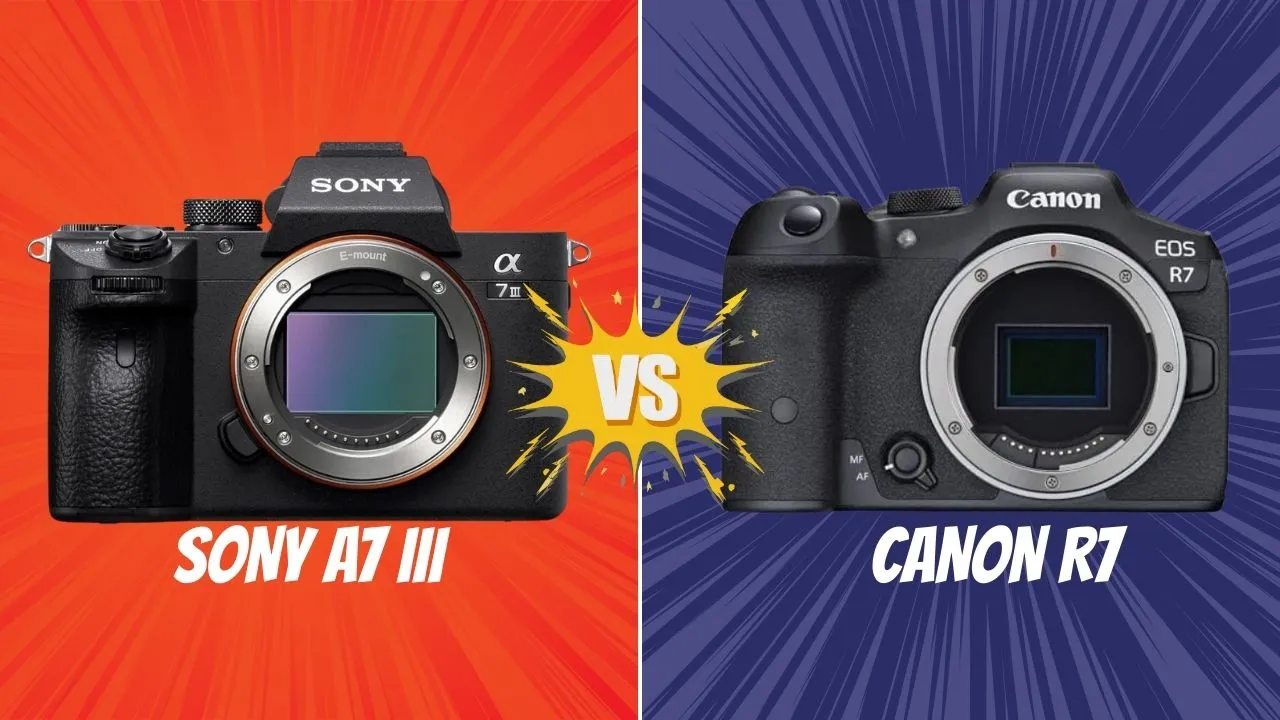 Sony A7 III VS Canon R7