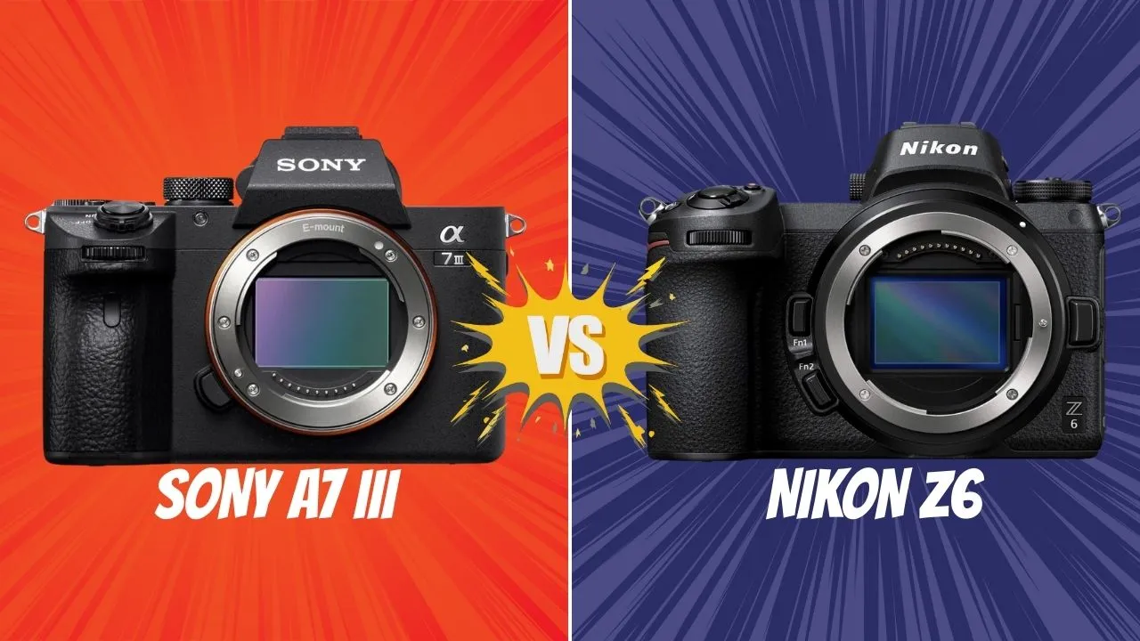 Sony A7 III VS Nikon Z6