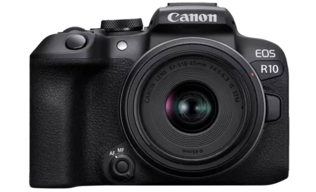 canon-eos-r10-photo-animaliere