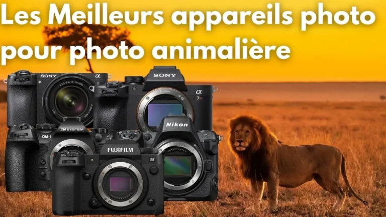 meilleur-appareil-photo-photo-animaliere