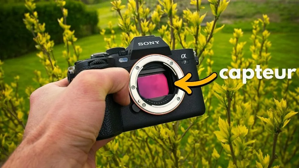 meilleur appareil photo hybride taille capteur